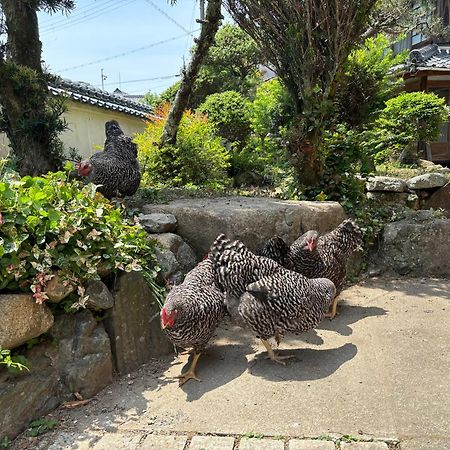 Osaka Nose Farmer'S Guest House　Yasuda Farm Zewnętrze zdjęcie